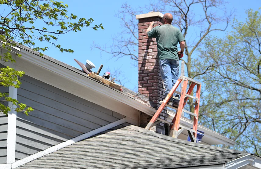 Chimney & Fireplace Inspections Services in Jackson, MS